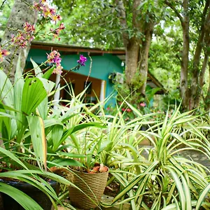 Séjour chez l'habitant Palitha